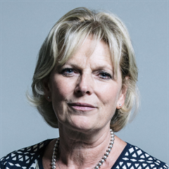 Anna Soubry