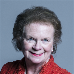 Baroness Liddell of Coatdyke